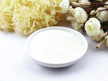 Tremella powder